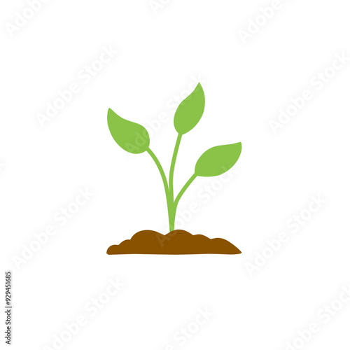 illustration of plant growth