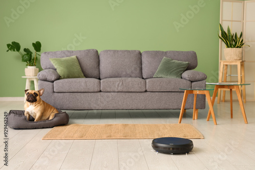 French bulldog in pet bed w...