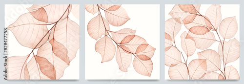 Set of art posters with hand-drawn autumn leaves on a branch. Botanical fall set of transparent leaves for print, postcard, invitation, wallpaper, packaging, interior.