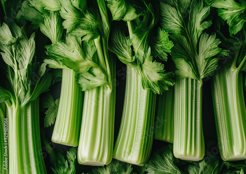 Crisp celery stalks with a pale green color displayed against a neutral background, showcasing their fresh texture and vibrant appearance in a simple food composition.

 photo