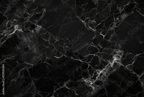 Black Marble with White Veins Texture