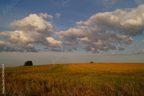 clouds over the field