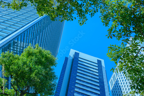 office buildings and green trees