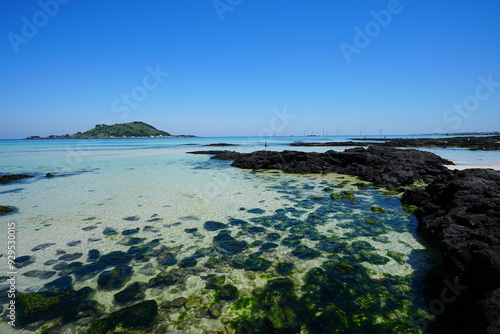 mossy rocks in the sea and far island