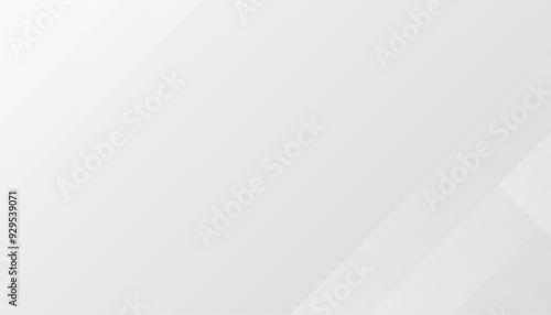 Abstract white and gray background. Vector illustration