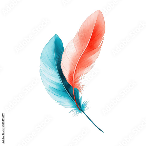 Two Colorful Feathers Isolated