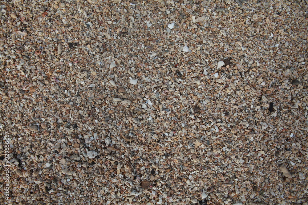 Closeup tropical beach sand background texture, Fiji- sand, crushed shells and coral, wet Closeup tropical beach sand background texture, Fiji- sand, crushed shells and coral, wet