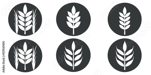Wheat Grains Vector Icons Set