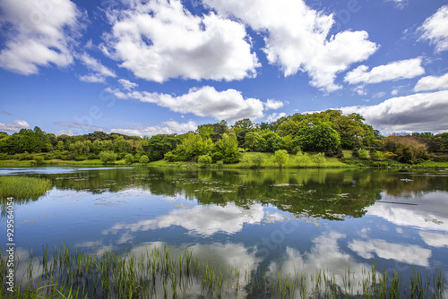 Olympic Park, Songpa-gu, Seoul, South Korea - April 29, 2022: Spring view of Mongchon Lake with green trees with cloud reflection on water