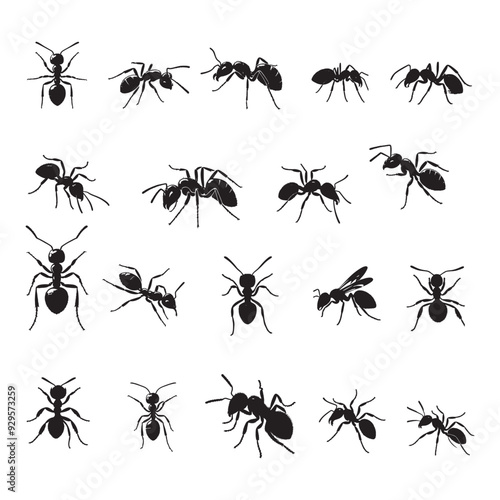 set of ant silhouettes on white background	