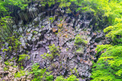 Jilin Province, China - June 22, 2019: Summer view of volcanic rocks and columnar joint at Mangcheona Valley of Baekdusan Mountain photo