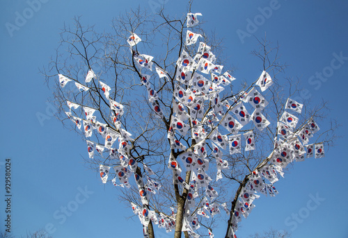 Yongsan-gu, Seoul, South Korea - February 27, 2022: Taegeukgi(Korean flags) are hung on a tree for memorial of Independence Movement Day at Baekbeom Kim Gu Memorial Hall photo