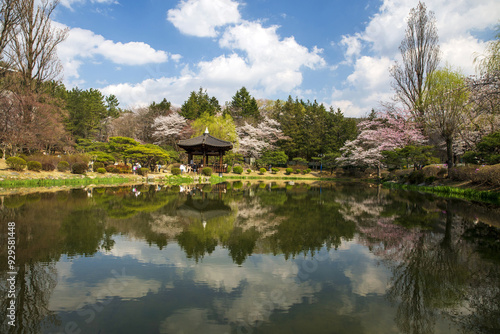 Gyeongju-si, Gyeongsangbuk-do, South Korea - April 2, 2022: Spring view of pond with white cherry blossoms and tourists on a pavilion with cloud reflection on water at Bomun Tourist Complex