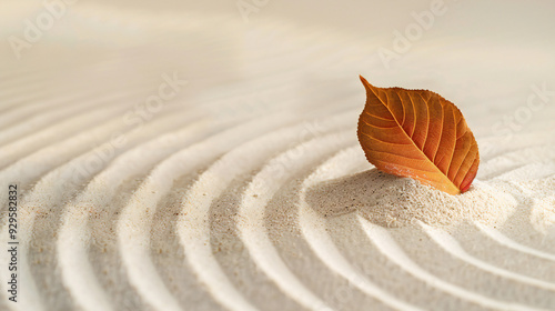 Autumn leaves on the sand with autumn leaves, capturing a beach and nature scene with yellow and dry textures sand photo