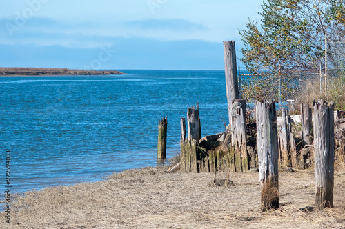 Fence on the beach