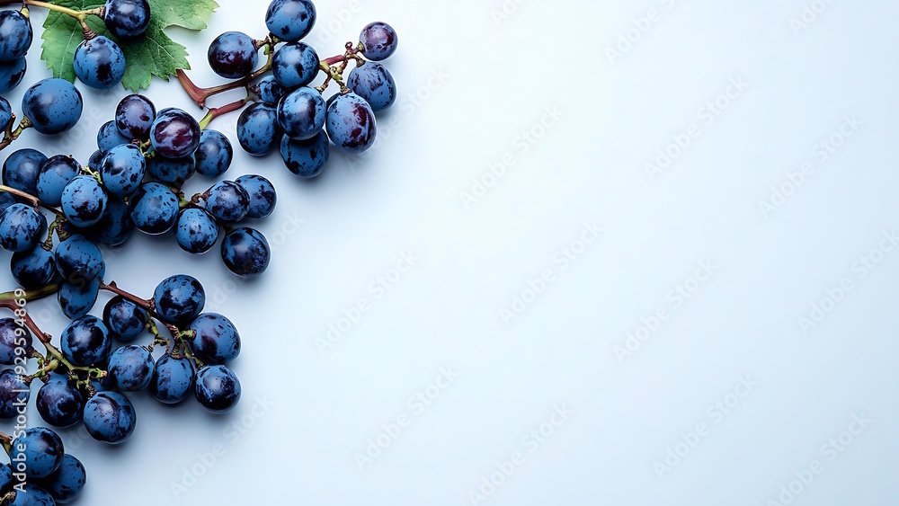 Blue-black grapes on a white background. Blue-black grapes on a white background.