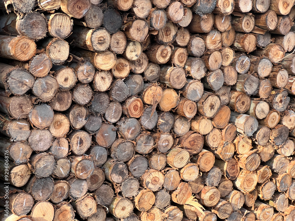 background of firewood. pile of wood logs background of firewood. pile of wood logs