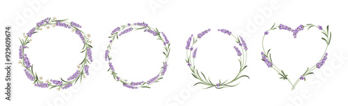 Set of lavender flowers elements. Collection of lavender flowers on a white background. Vector illustration bundle.