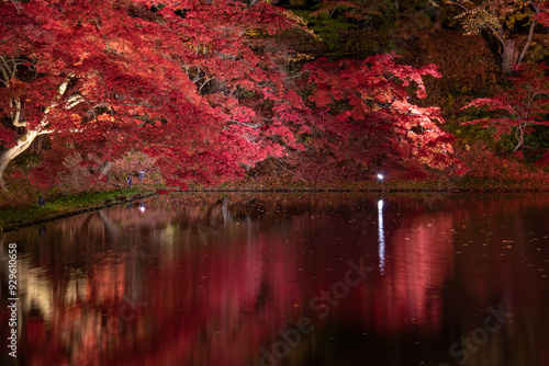 水に映る紅葉

