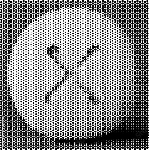 Halftone skull image, black and white dots creating visual effect.