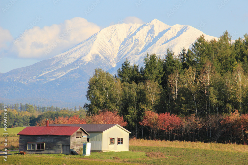 秋の紅葉が始まった林と冠雪の山 十勝岳連峰
秋の紅葉が始まった林と冠雪の山 十勝岳連峰