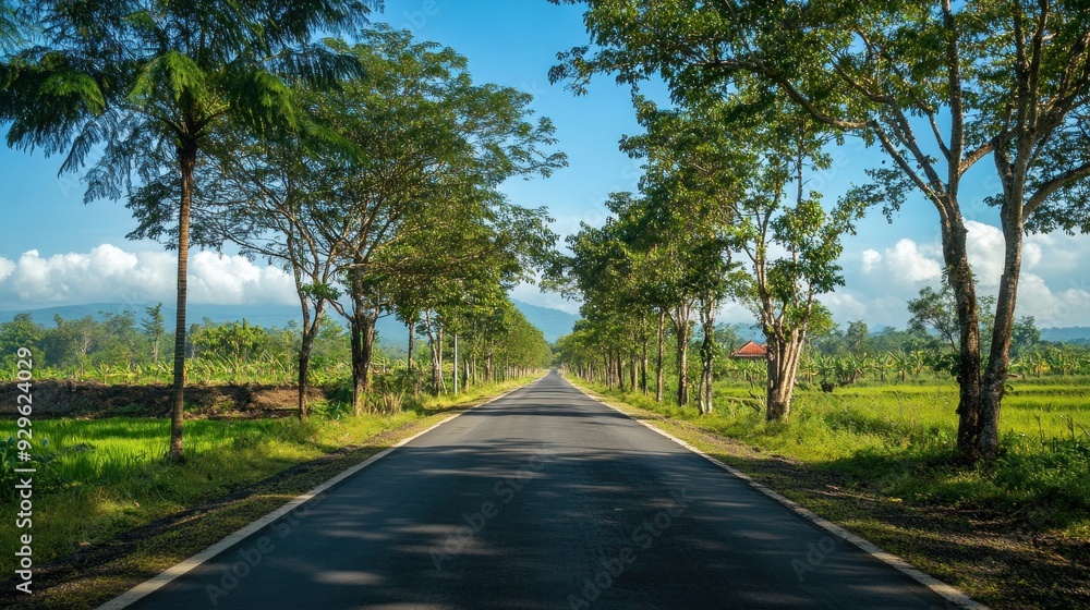 Obraz premium Quiet asphalt road with cool green trees around, Indonesian street concept background wallpaper AI generated image