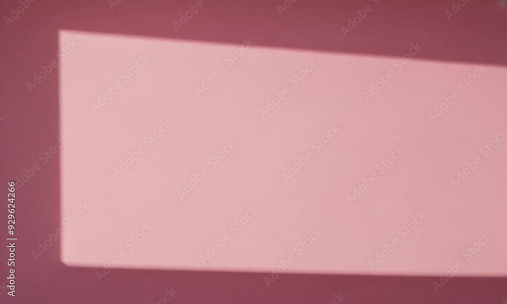 Modern Pink Studio for Product Photography Modern Pink Studio for Product Photography