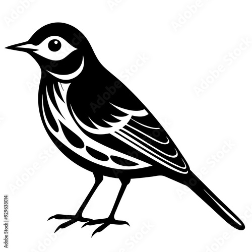 Pipit bird black silhouettes on white background