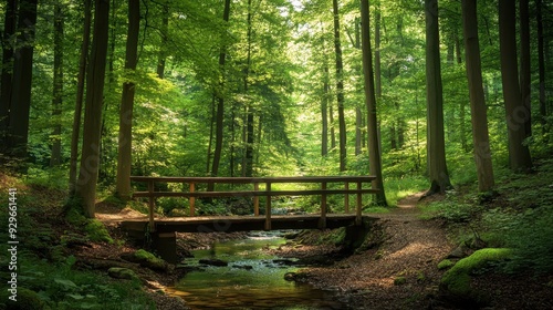 Wallpaper Mural A serene forest scene featuring a wooden bridge over a stream surrounded by lush greenery. Torontodigital.ca
