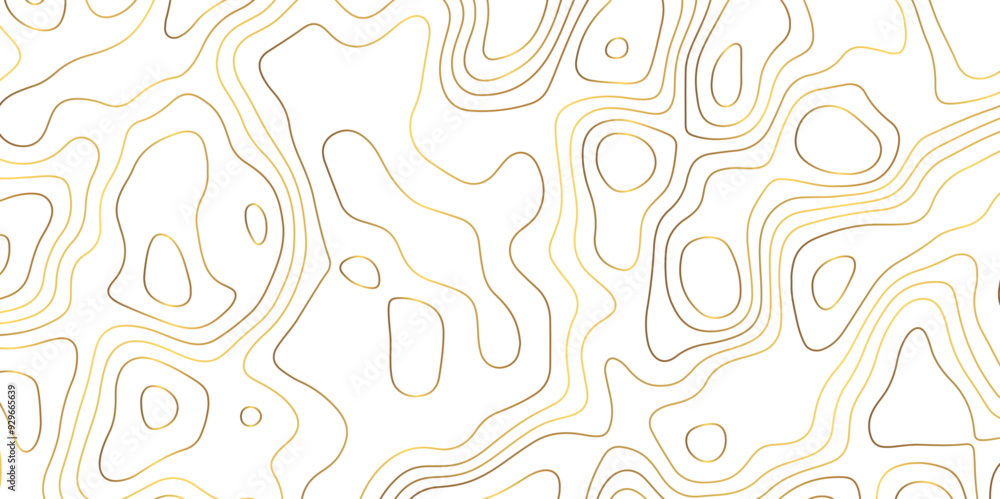 Topography or topology map texture contour vector abstract background digital wallpaper for desktop Topography or topology map texture contour vector abstract background digital wallpaper for desktop