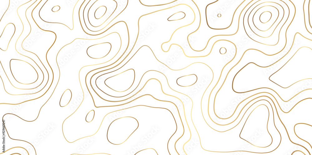 Topography or topology map texture contour vector abstract background digital wallpaper for desktop Topography or topology map texture contour vector abstract background digital wallpaper for desktop