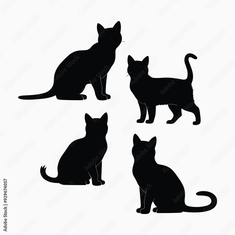 Exotic shorthair cat silhouette vector template illustration Exotic shorthair cat silhouette vector template illustration