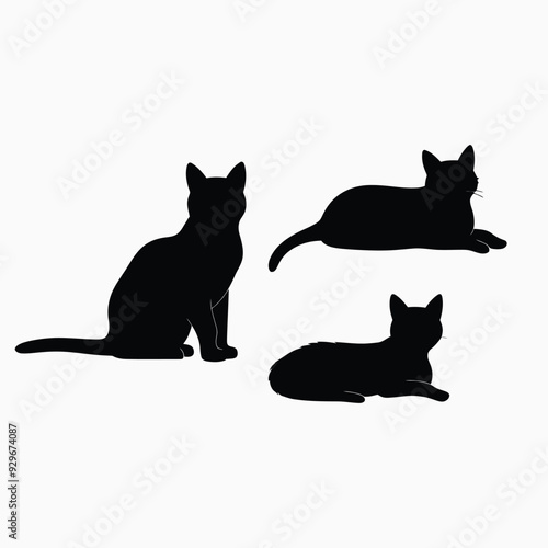 Exotic shorthair cat silhouette vector template illustration