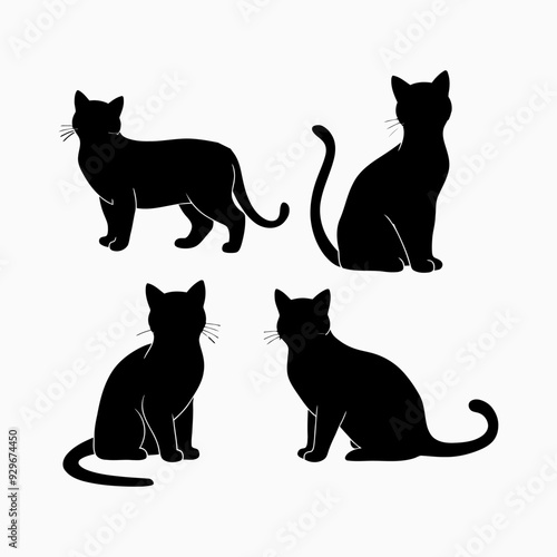 Exotic shorthair cat silhouette vector template illustration