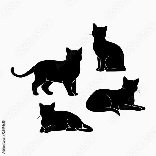 Exotic shorthair cat silhouette vector template illustration