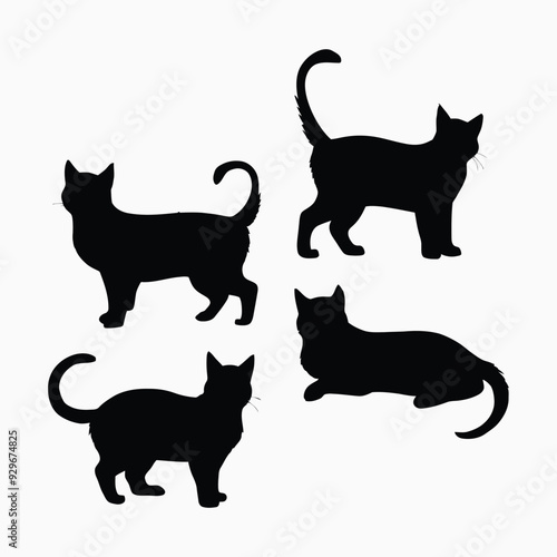 Exotic shorthair cat silhouette vector template illustration