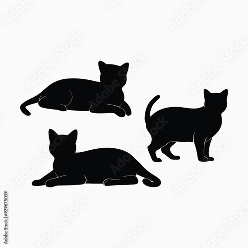 Exotic shorthair cat silhouette vector template illustration