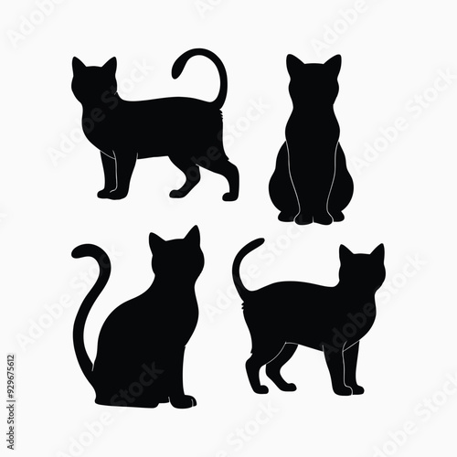 Exotic shorthair cat silhouette vector template illustration