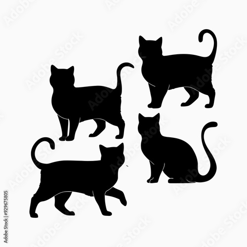 Exotic shorthair cat silhouette vector template illustration