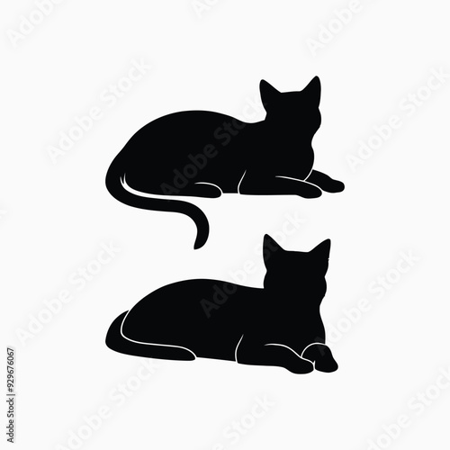 Exotic shorthair cat silhouette vector template illustration