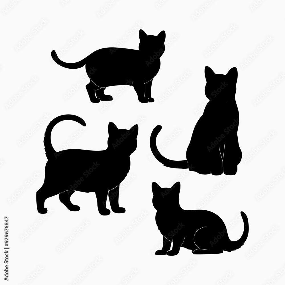 Exotic shorthair cat silhouette vector template illustration Exotic shorthair cat silhouette vector template illustration