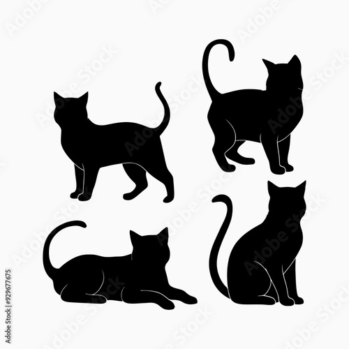 Exotic shorthair cat silhouette vector template illustration