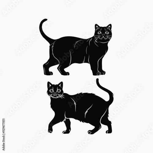 Exotic shorthair cat silhouette vector template illustration