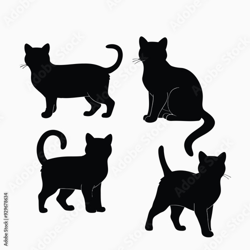 Exotic shorthair cat silhouette vector template illustration