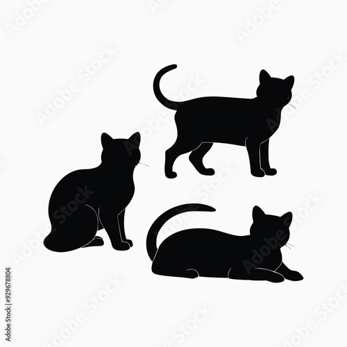 Exotic shorthair cat silhouette vector template illustration