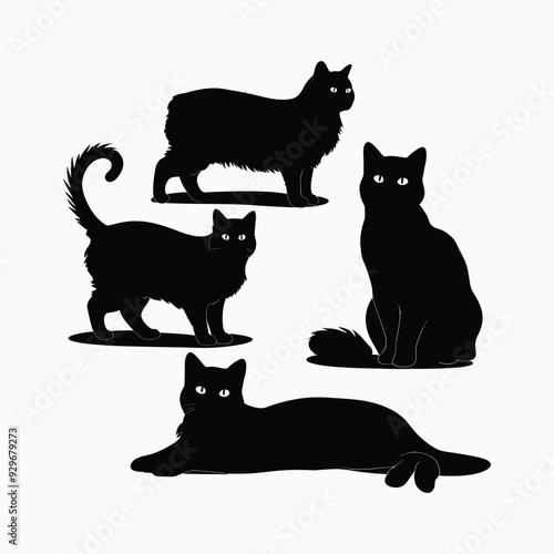 Exotic shorthair cat silhouette vector template illustration