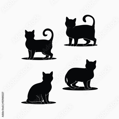 Exotic shorthair cat silhouette vector template illustration