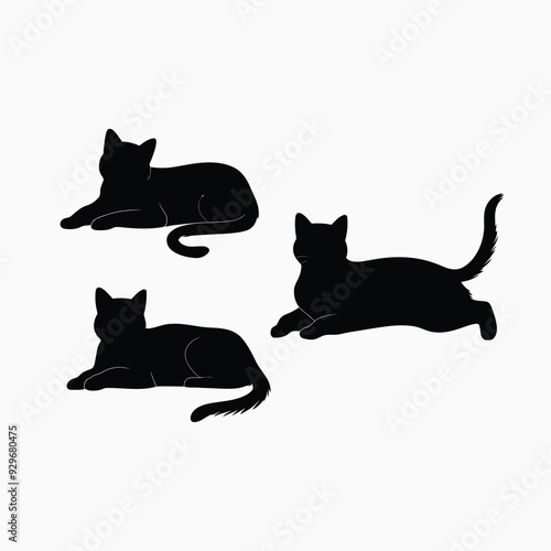 Exotic shorthair cat silhouette vector template illustration