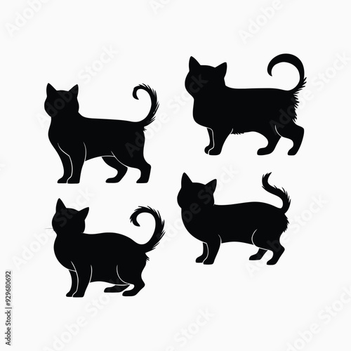 Exotic shorthair cat silhouette vector template illustration