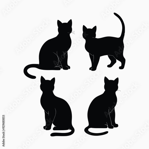 Exotic shorthair cat silhouette vector template illustration
